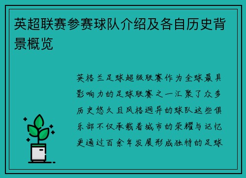 英超联赛参赛球队介绍及各自历史背景概览