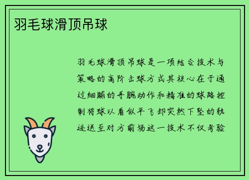 羽毛球滑顶吊球